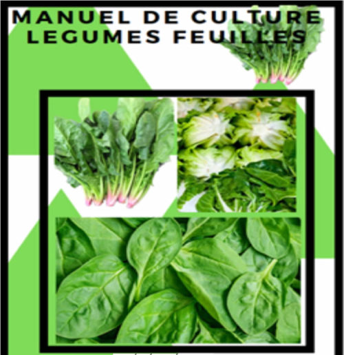 Manuel culture legume