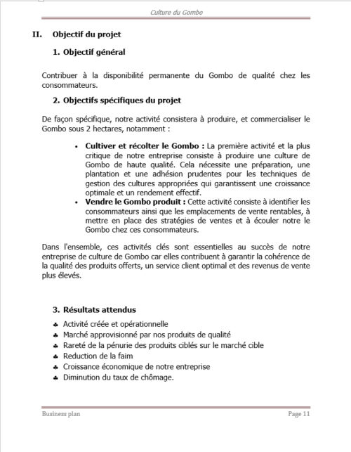 Business plan culture du gombo à télécharger (Word et PDF) – Image 6