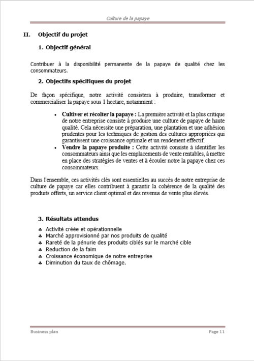Business plan de culture de la papaye à télécharger (Word et PDF) – Image 5