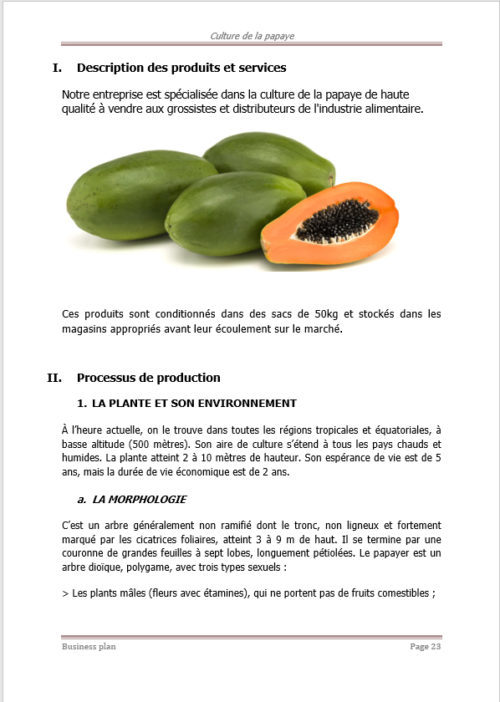 Business plan de culture de la papaye à télécharger (Word et PDF) – Image 6