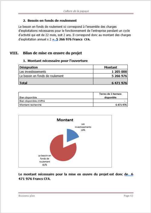 Business plan de culture de la papaye à télécharger (Word et PDF) – Image 7