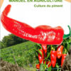 Business plan de culture du piment à télécharger (Word et PDF) – Image 2