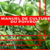 Manuel culture du poivron