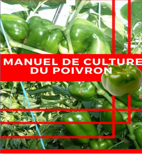 Manuel culture du poivron