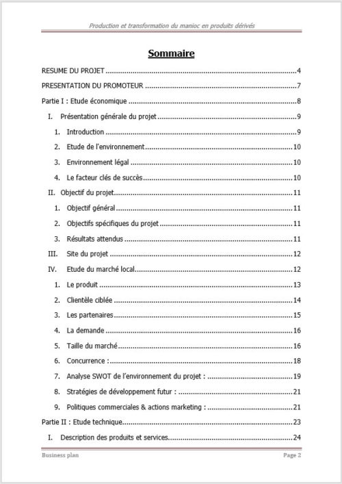 Sommaire business plan manioc 1