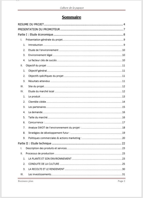 Business plan de culture de la papaye à télécharger (Word et PDF) – Image 3