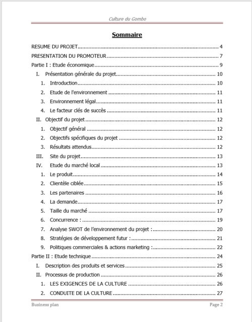 Business plan culture du gombo à télécharger (Word et PDF) – Image 3