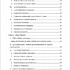 Sommaire business plan manioc 2