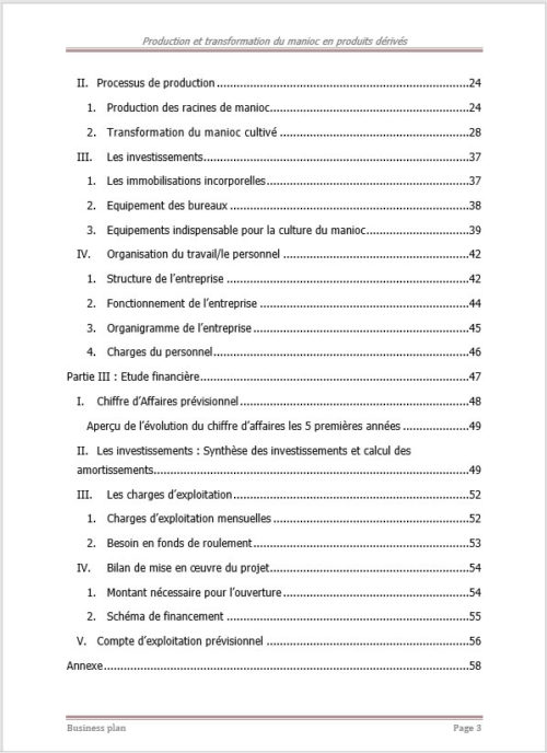 Sommaire business plan manioc 2