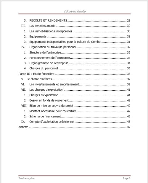 Business plan culture du gombo à télécharger (Word et PDF) – Image 4