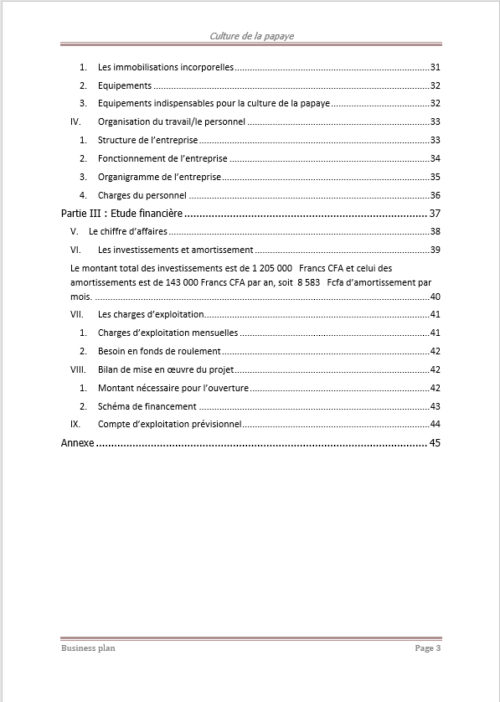 Business plan de culture de la papaye à télécharger (Word et PDF) – Image 4