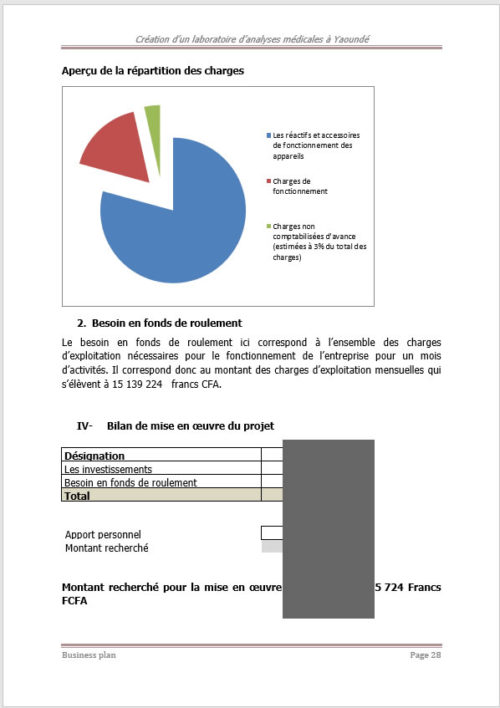 Business plan de création d'un laboratoire d'analyse médicale – Image 5