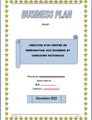 Business plan preparation aux examens et concours