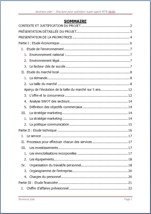 Business plan de création d'une entreprise super Agent MTN – Image 2
