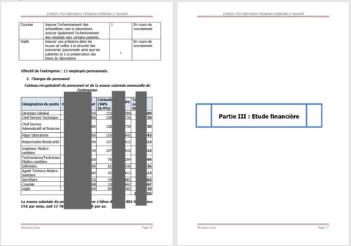 Masse salariale business plan analyse médicale