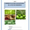 Business plan culture maraichere
