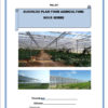 Business plan agriculture sous serre