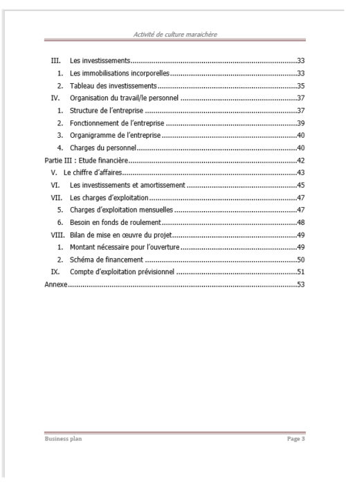 Business plan culture sous serre à télécharger (Word et Excel) – Image 3
