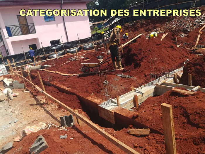 Catégorisation des entreprises - marchés publics - au Cameroun