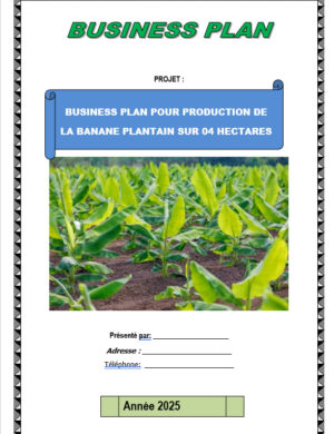 Business plan banane plantain