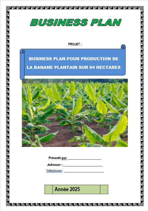 Business plan banane plantain