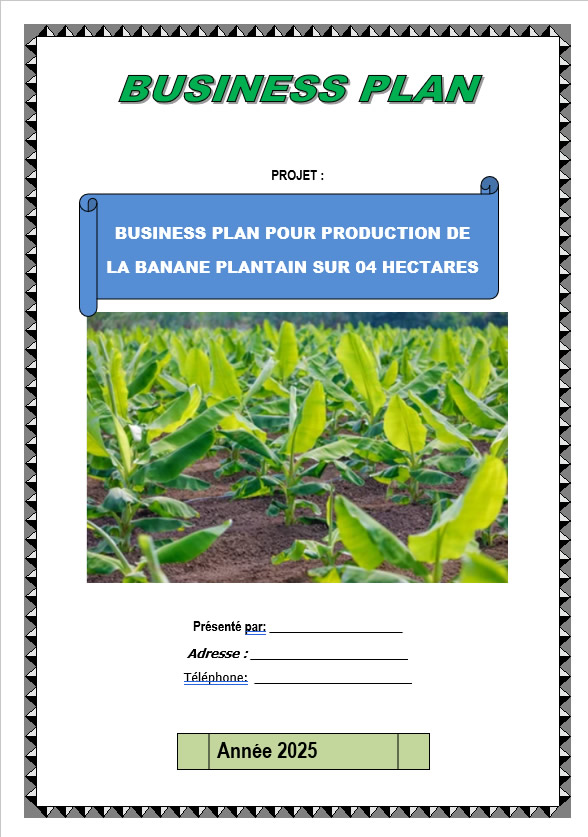Business plan banane plantain