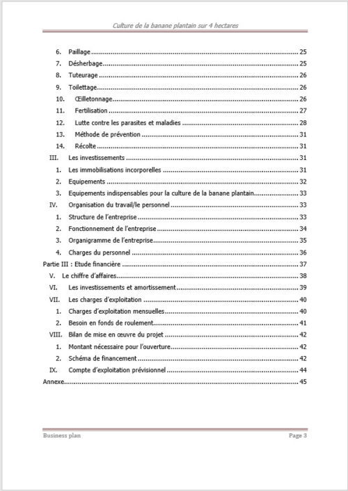 Business plan de culture de la banane plantain à télécharger – Image 3
