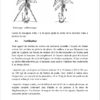 Business plan de culture de la banane plantain à télécharger – Image 5