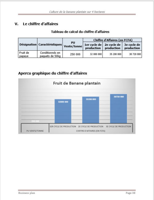 Business plan de culture de la banane plantain à télécharger – Image 6