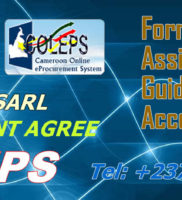 COLEPS – Formation et assistance en passation électronique des marchés au Cameroun