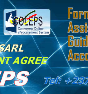 COLEPS – Formation et assistance en passation électronique des marchés au Cameroun