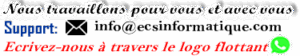 logo 2 ECS