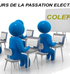 Les acteurs directs de la passation électronique des marchés